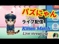 にゃんにゃん生放送でトップ3入りを狙う❗(パズにゃん/Kitten Match)