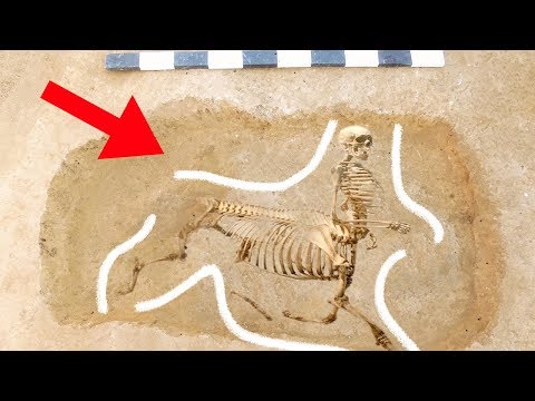 Video: In Schottland Wurde Ein Skelett Einer Mysteriösen Kreatur Gefunden - Alternative Ansicht
