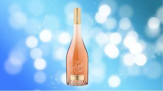 Review of Angel's Vine French Rose 2025