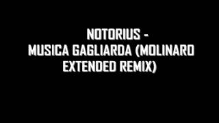 Notorius - Musica Gagliarda (Molinaro Extended Remix)