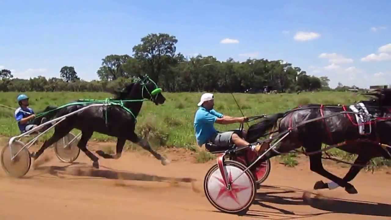 1. RASTREADOR. TP.2.04.20. 2. ESTUDIOSO. TP. 2.05.40.