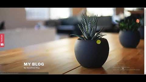 How to create and use HeatMaps in WordPress (MS Marketing Plugin)