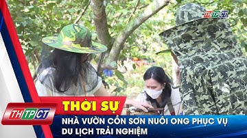 Nhà vườn Cồn Sơn nuôi ong phục vụ du lịch trải nghiệm | Cần Thơ TV