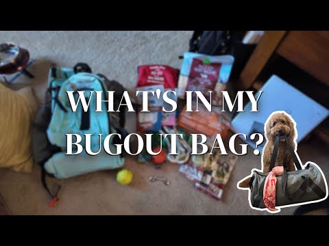 What’s inside my dog’s emergency bugout bag?