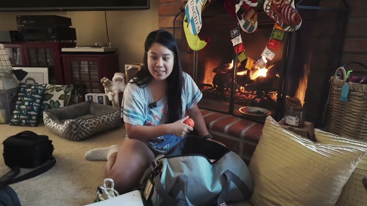 What’s inside my dog’s emergency bugout bag?