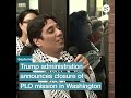 Trump and the Palestinians: A look back at the last 4 years