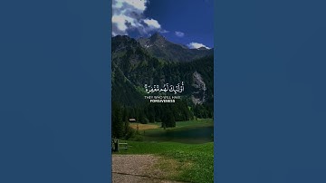 اكتب شيء تؤجر عليه 🤍 #القران_الكريم #quran #قرآن #fypシ #ياسر_الدوسري #القارئ_ياسر_الدوسري #fyp