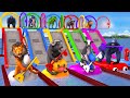 Choose right slider cage mystery key challenge with cow mammoth gorilla wild animals crossing game