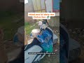 दुकानदार का दुख #reels #viral #viral #funny #trending #motivation #love #instareels #shortvideo