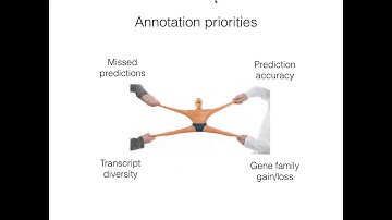 Manual gene annotation in Apollo