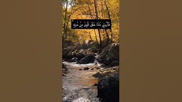 قران كريم / تلاوة خاشعة / حالات واتس اب / راحة نفسية / القارئ إسلام صبحي ( هَٰذَا خَلْقُ اللَّهِ )