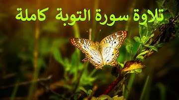 تلاوة سورة التوبة كاملة للقارئ احمد الشبلي | surah At-Tawba