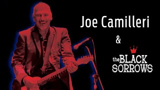 Joe Camilleri (Live @ Bird's Basement)