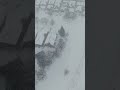 Snow strom in Canada #mississauga #scarborough #toronto #canada #djimini5pro #dji