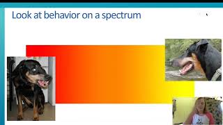 PPP Workshop Trailer Trish McMillan Canine Communication