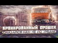 Эхо войны. Бронированный орешек оказался нам не по зубам.