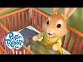 Peter Rabbit Little Rabbit Bedtime Stories Cartoons For Kids 