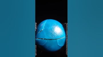 Smart Beans Squeezing In Macro #satisfying #crushing #slowmotion #asmr #closeup #experiment #zoom