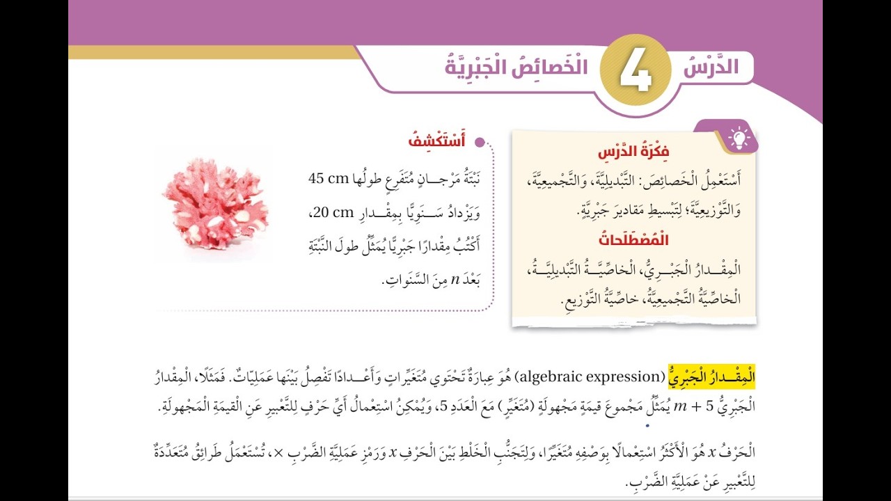 الخصائص الجبرية | شرح تدريجي خطوة بخطوة 2026