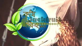 Shwapno Tv Agriculture Based Program Intro Jackfruit Productions