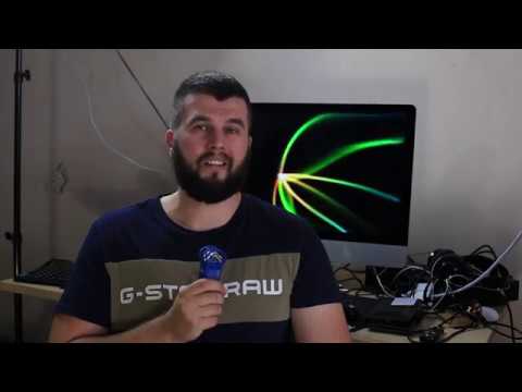 20 ошибок в питании собак