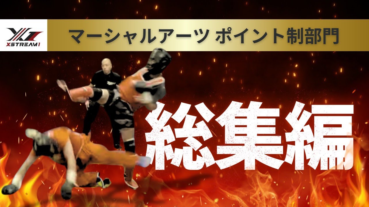 マーシャルアーツ総集編‼️ - YouTube