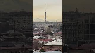 Ташкент 2024 . Морозное утро в Ташкенте .