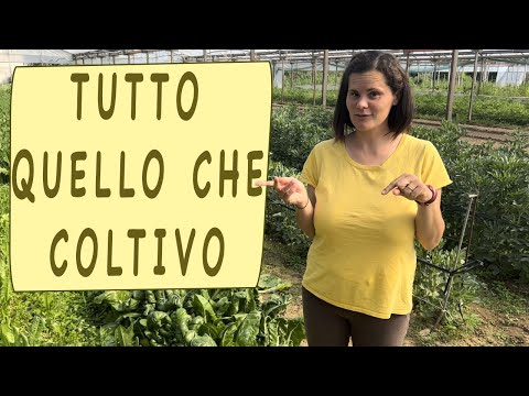 Video: A cosa servivano i pali di maggio?