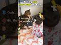 Ranking Cat Plays Rough With Babies 😂