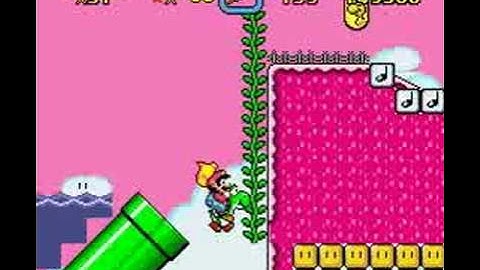 07 Chaos CompleXX "Rosa Perplex 1"