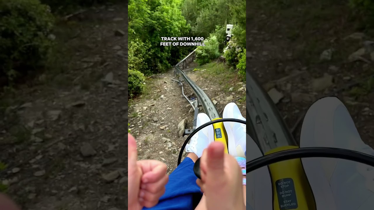 The only single-rail mountain coaster in the US! 📍Anakeesta, Gatlinburg, TN 