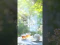 こころやわらぐ朝のBGM【カフェBGM】