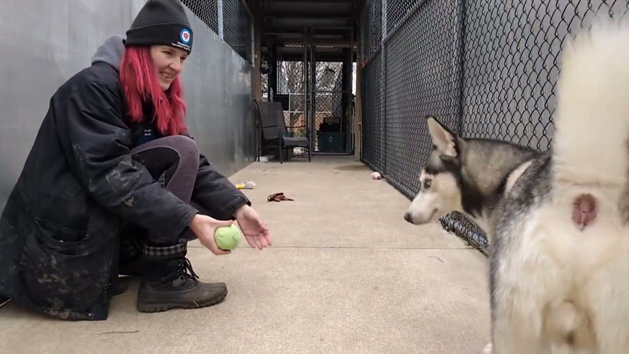 Zurich A254822 - 4/1/23