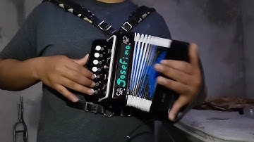 Los Tigres del Norte - Las Mañanitas en acordeón de juguete (mini acordeón)