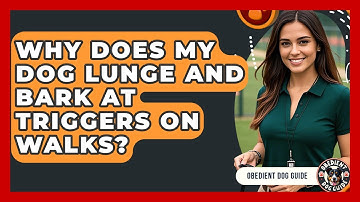 Why Does My Dog Lunge And Bark At Triggers On Walks? - Obedient Dog Guide