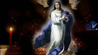 Oración a María | Día 17 | Magnificat.tv