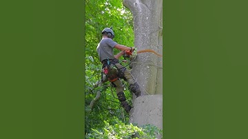 To the skies. Crane picks. #arbortec #chainsaw #arborist #treework