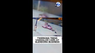 Twerking teens vandalize 18 cars at Glendora cleaning business