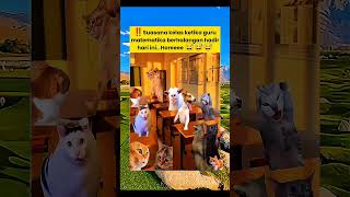 Download Lagu ‼️Bahagianya kalo guru gak datang 😁 #nttpride #musica #remix #music #cat MP3