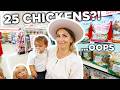 Bringing Home 25 Chickens to Our Family Homestead | Backyard Chicken Flock