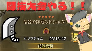 【モンハンワイルズ】闘技場ドシャグマを3分切り目指す配信