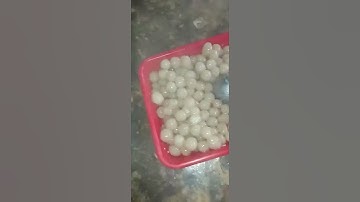 tugas bk membuat cilok kuah