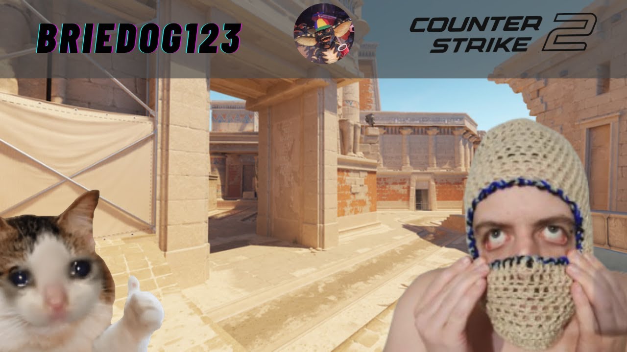 COUNTER STRIKE 2 ⚡ #1 TOP FRAGGER ⚡ BOT DESTROYER ⚡ CERTIFIED PROFIT