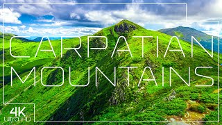 Carpathian Mountains in 4K ⛰️ Beautiful European wilderness