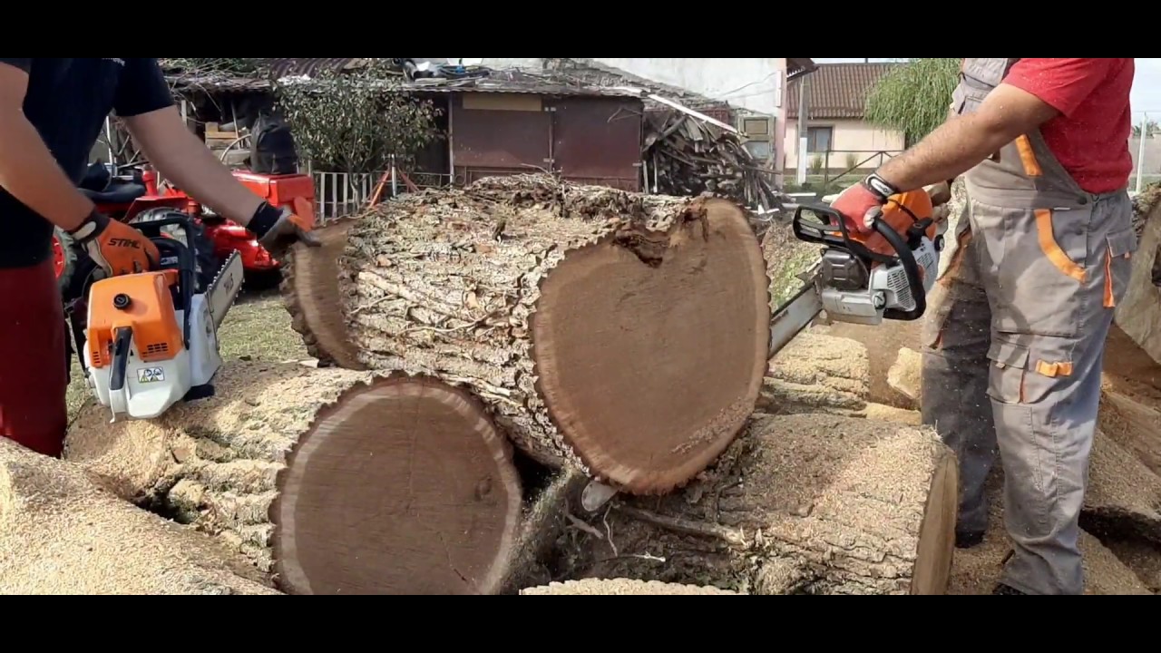 Stihl ms 880 vs stihl ms 661c-m chain chisel vs semichizsel - YouTube