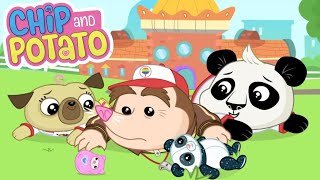 Boobam's Fantastic School Visit | Chip & Potato | Watch More on Netflix | WildBrain Zoo