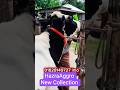 Dairy cow 25_30 litre per day #youtubeshorts#cattleworld #foryou #farming #milkcow #dairycows #dairy