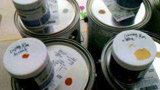 Christian Painters Sherwin Williams Color Consultation