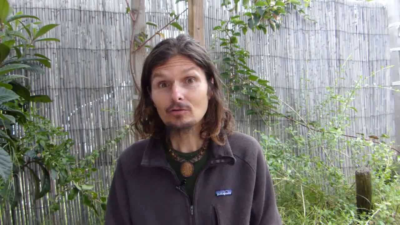 Questions Et Reponses N 49