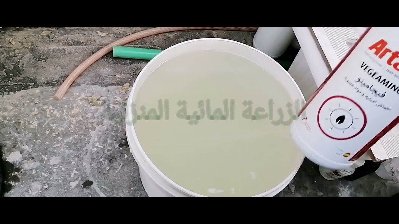 تطبيق الرش بـ (الأحماض الامينية الاحادية) لزيادة تحمل النبات للظروف غير الملائمة .